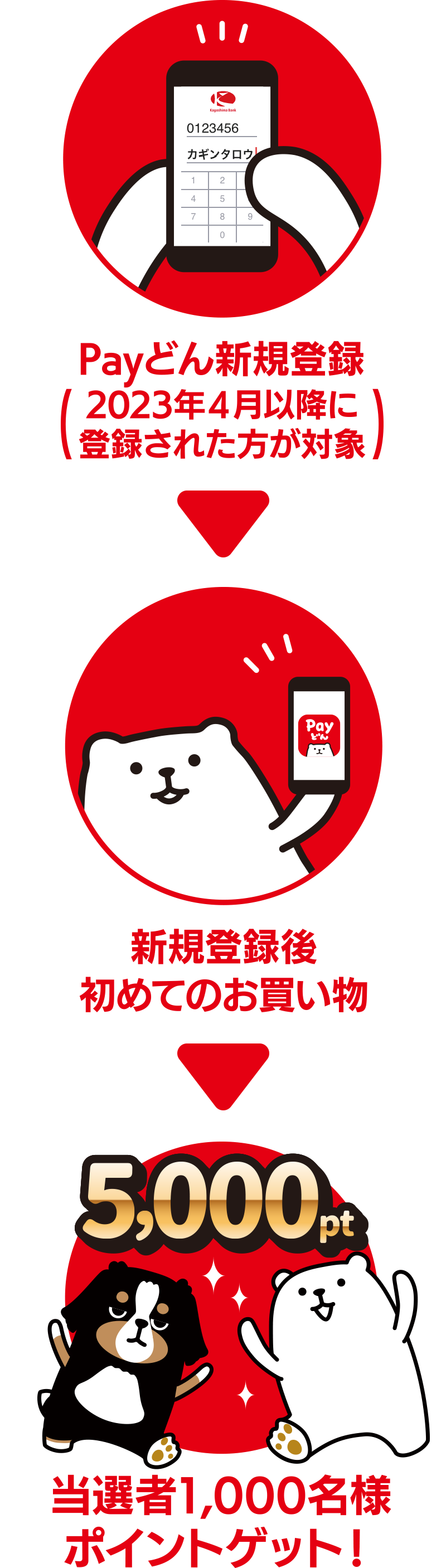 Payどん新規登録(2023年4月以降に登録された方が対象)→新規登録後初めてのお買い物→当選者1000名様5,000ポイントゲット!